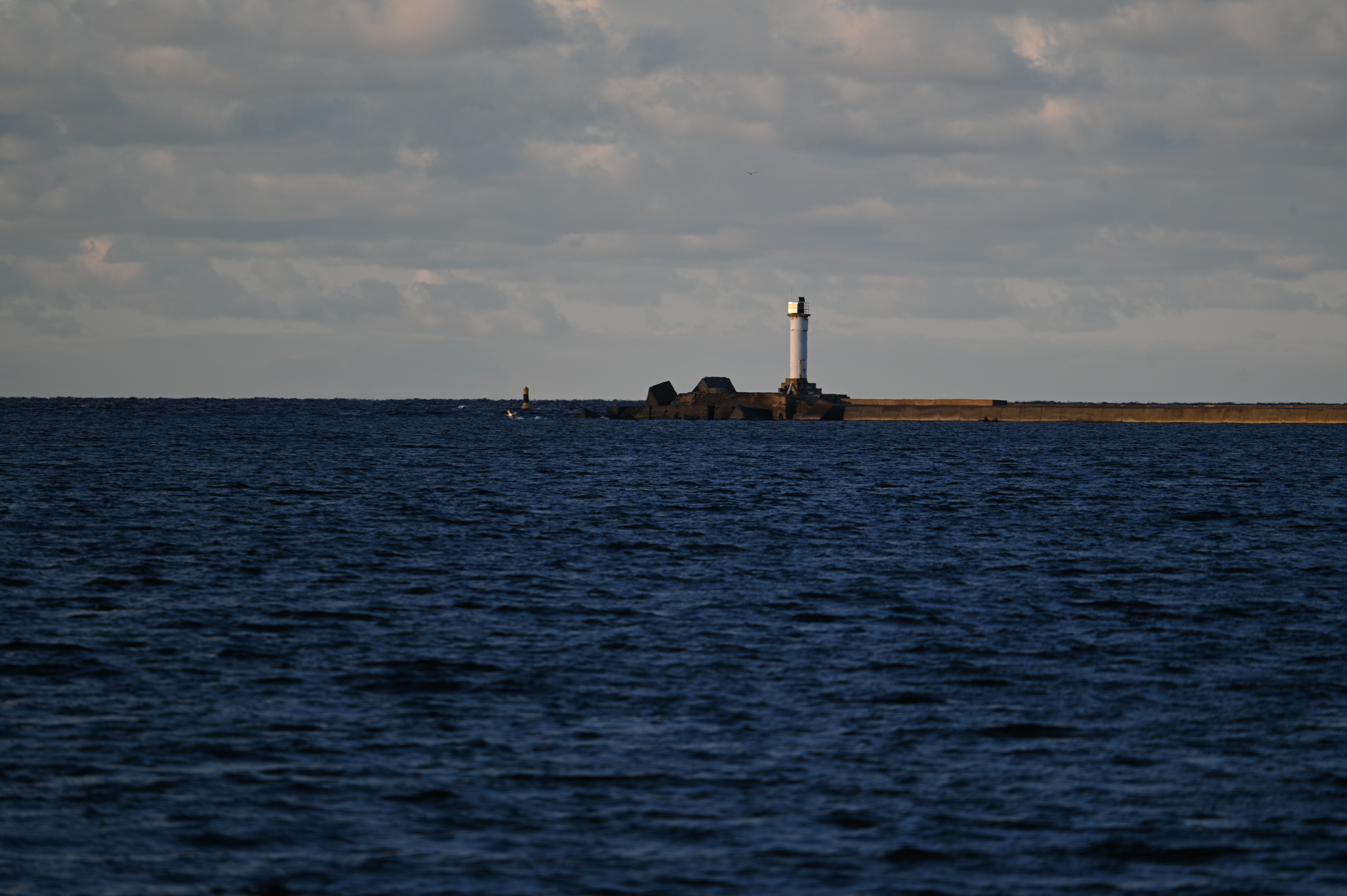 2025/10/18 - walk/DSC_0214.JPG